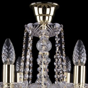 Подвесная люстра Bohemia Ivele Crystal 1402 1402/8/195/G/tube в Добрянке - dobryanka.mebel24.online | фото 4