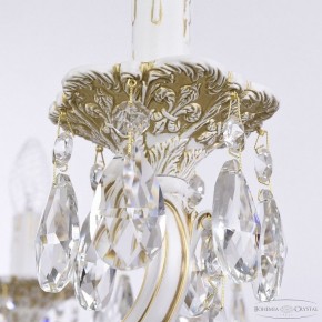 Подвесная люстра Bohemia Ivele Crystal AL7801 AL78101/10/250 A WMG в Добрянке - dobryanka.mebel24.online | фото 7