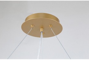 Подвесная люстра Favourite Ginkoa 4080-10P в Добрянке - dobryanka.mebel24.online | фото 9