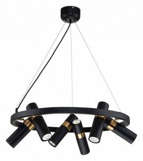 Подвесная люстра Favourite Light point 2997-6P в Добрянке - dobryanka.mebel24.online | фото 2