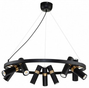 Подвесная люстра Favourite Light point 2997-9P в Добрянке - dobryanka.mebel24.online | фото 2