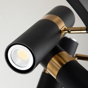 Подвесная люстра Favourite Light point 2997-9P в Добрянке - dobryanka.mebel24.online | фото 5