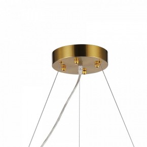 Подвесная люстра Favourite Magnitudo 2206-12P в Добрянке - dobryanka.mebel24.online | фото 7
