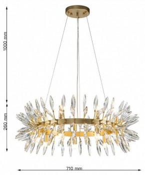 Подвесная люстра Favourite Rays 4058-14P в Добрянке - dobryanka.mebel24.online | фото 7