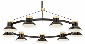 Подвесная люстра Favourite Tatti 4516-9P в Добрянке - dobryanka.mebel24.online | фото