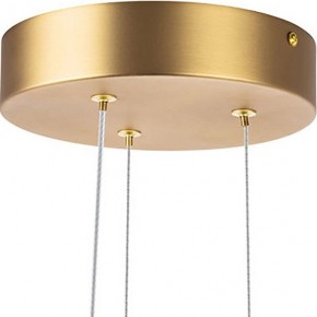 Подвесная люстра Lightstar Bergamo 745247 в Добрянке - dobryanka.mebel24.online | фото 6