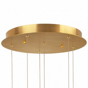 Подвесная люстра Lightstar Colore 805169 в Добрянке - dobryanka.mebel24.online | фото 6