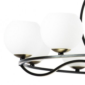 Подвесная люстра Lightstar Enna 762117 в Добрянке - dobryanka.mebel24.online | фото 4