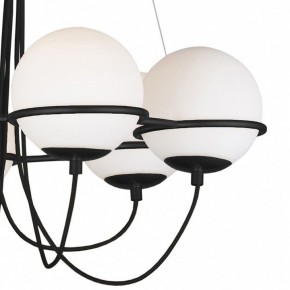 Подвесная люстра Lightstar Globo 803267 в Добрянке - dobryanka.mebel24.online | фото 5