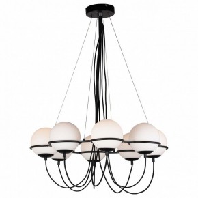 Подвесная люстра Lightstar Globo 803287 в Добрянке - dobryanka.mebel24.online | фото 2