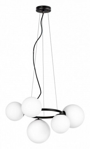 Подвесная люстра Lightstar Globo 815057 в Добрянке - dobryanka.mebel24.online | фото 2