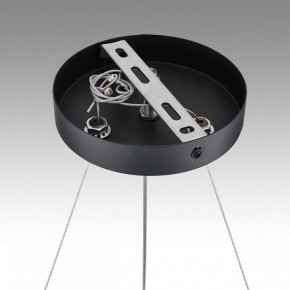 Подвесная люстра Lumion Luazana 8242/6 в Добрянке - dobryanka.mebel24.online | фото 7