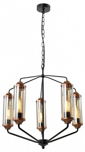 Подвесная люстра Lussole Fishers LSP-8800 в Добрянке - dobryanka.mebel24.online | фото 2