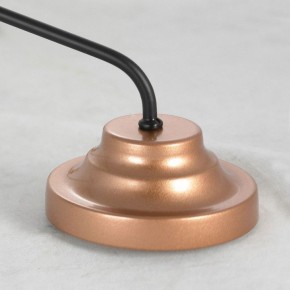 Подвесная люстра Lussole Fishers LSP-8800 в Добрянке - dobryanka.mebel24.online | фото 5