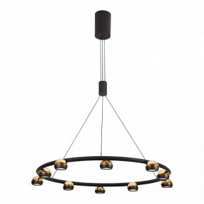 Подвесная люстра Lussole Lassen LSP-7253 в Добрянке - dobryanka.mebel24.online | фото 2
