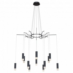 Подвесная люстра Maytoni Davida MOD035PL-12B в Добрянке - dobryanka.mebel24.online | фото 2