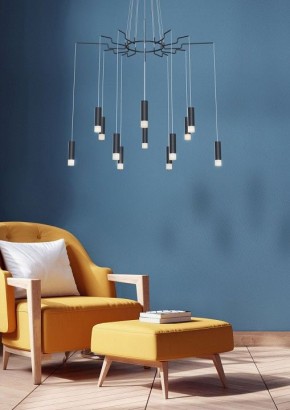 Подвесная люстра Maytoni Davida MOD035PL-12B в Добрянке - dobryanka.mebel24.online | фото 4