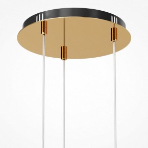 Подвесная люстра Maytoni Drop MOD273PL-L33G3K в Добрянке - dobryanka.mebel24.online | фото 6