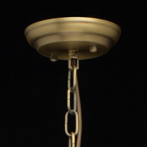 Подвесная люстра MW-Light Альгеро 3 285010703 в Добрянке - dobryanka.mebel24.online | фото 14