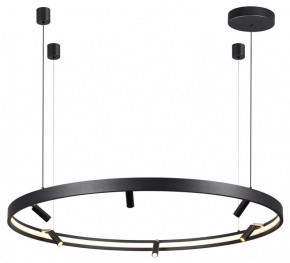 Подвесная люстра Odeon Light Fonda 4317/93L в Добрянке - dobryanka.mebel24.online | фото 4