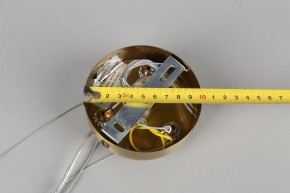 Подвесная люстра Omnilux Ales OML-69103-06 в Добрянке - dobryanka.mebel24.online | фото 11