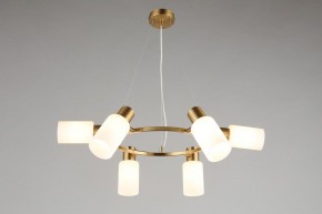 Подвесная люстра Omnilux Ales OML-69103-06 в Добрянке - dobryanka.mebel24.online | фото 7