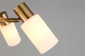 Подвесная люстра Omnilux Ales OML-69103-06 в Добрянке - dobryanka.mebel24.online | фото 9