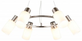 Подвесная люстра Omnilux Ales OML-69113-06 в Добрянке - dobryanka.mebel24.online | фото 2