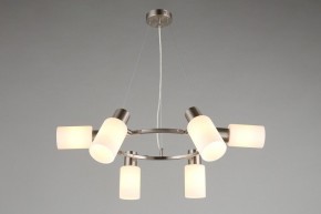 Подвесная люстра Omnilux Ales OML-69113-06 в Добрянке - dobryanka.mebel24.online | фото 7