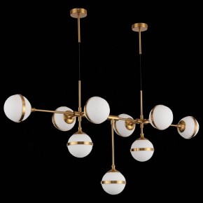 Подвесная люстра ST-Luce Arbe SL1157.303.09 в Добрянке - dobryanka.mebel24.online | фото 4