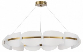 Подвесная люстра ST-Luce Etoile SL1304.203.65 в Добрянке - dobryanka.mebel24.online | фото 3