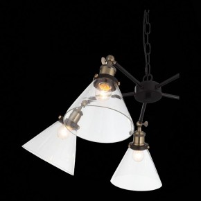 Подвесная люстра ST-Luce Evoluto SL237.413.05 в Добрянке - dobryanka.mebel24.online | фото 7