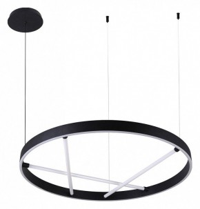 Подвесной светильник Arte Lamp Ricco A1874SP-45BK в Добрянке - dobryanka.mebel24.online | фото 2