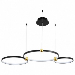 Подвесной светильник Divinare Amadeo 1123/04 SP-75 в Добрянке - dobryanka.mebel24.online | фото