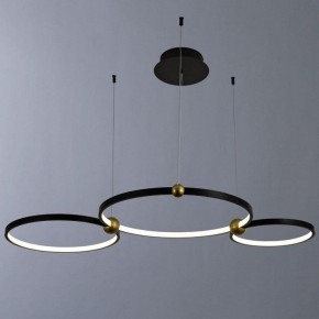 Подвесной светильник Divinare Amadeo 1123/04 SP-75 в Добрянке - dobryanka.mebel24.online | фото 2