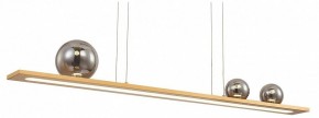 Подвесной светильник Favourite Bilico 4549-3P в Добрянке - dobryanka.mebel24.online | фото 2