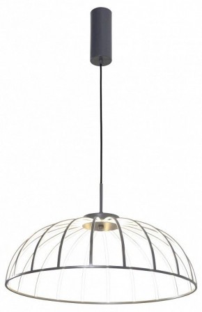 Подвесной светильник Favourite Vertex 4285-6P в Добрянке - dobryanka.mebel24.online | фото 2