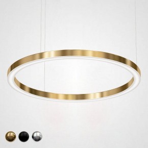 Подвесной светильник Imperiumloft Light Ring Horizontal 40.1454-120 в Добрянке - dobryanka.mebel24.online | фото