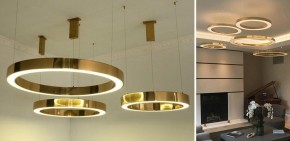 Подвесной светильник Imperiumloft Light Ring Horizontal 40.1454-40 в Добрянке - dobryanka.mebel24.online | фото 2