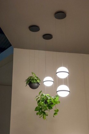 Подвесной светильник Imperiumloft Palma Wall Lamp 22.93727 в Добрянке - dobryanka.mebel24.online | фото 4