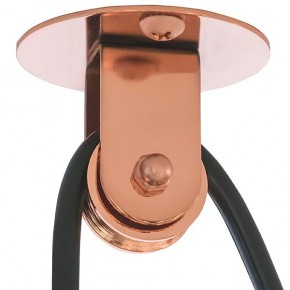 Подвесной светильник Lightstar Acrobata 761073 в Добрянке - dobryanka.mebel24.online | фото 5