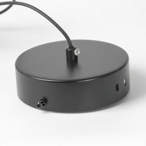 Подвесной светильник Lussole Bradford LSP-7154 в Добрянке - dobryanka.mebel24.online | фото 6