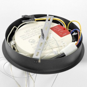 Подвесной светильник Lussole Hale LSP-7380 в Добрянке - dobryanka.mebel24.online | фото 6