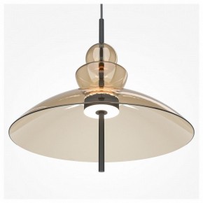Подвесной светильник Maytoni Bangkok MOD185PL-L12CG3K3 в Добрянке - dobryanka.mebel24.online | фото 5