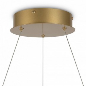 Подвесной светильник Maytoni Halo MOD100PL-L88BSK1 в Добрянке - dobryanka.mebel24.online | фото 6