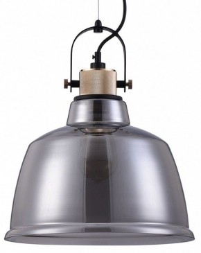Подвесной светильник Maytoni Irving T163PL-01C в Добрянке - dobryanka.mebel24.online | фото 2