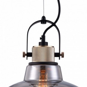 Подвесной светильник Maytoni Irving T163PL-01C в Добрянке - dobryanka.mebel24.online | фото 9