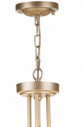 Подвесной светильник Maytoni Roma ARM006PL-06G в Добрянке - dobryanka.mebel24.online | фото 5