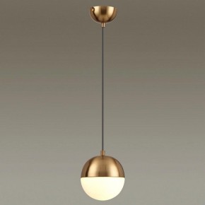Подвесной светильник Odeon Light Pinga 4960/1 в Добрянке - dobryanka.mebel24.online | фото 2