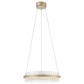 Подвесной светильник ST-Luce Cherio SL383.203.01 в Добрянке - dobryanka.mebel24.online | фото 3